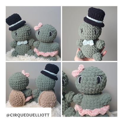 Tobias and Tori the Traveling Turtles Pattern